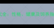 哈士奇与布拉多混血后代全性格健康及饲养指南附科学繁育建议