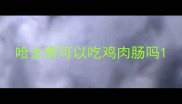 哈士奇可以吃鸡肉肠吗