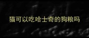 猫可以吃哈士奇的狗粮吗