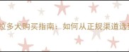 常德靠谱拉布拉多犬购买指南如何从正规渠道选到健康幼犬