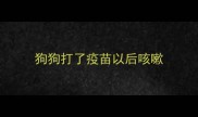 狗狗打了疫苗以后咳嗽