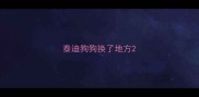 泰迪狗狗换了地方