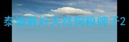 泰迪最好天然狗粮牌子