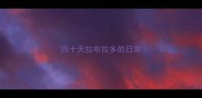 四十天拉布拉多的日常