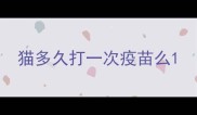 猫多久打一次疫苗么