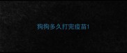 狗狗多久打完疫苗