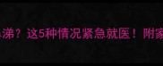 狗狗突然流鼻涕这5种情况紧急就医附家庭护理全攻略