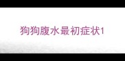 狗狗腹水最初症状