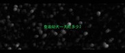泰迪幼犬一天吃多少