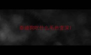 泰迪狗吃什么毛色变深