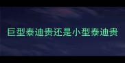 巨型泰迪贵还是小型泰迪贵