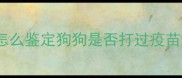 怎么鉴定狗狗是否打过疫苗