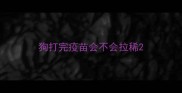 狗打完疫苗会不会拉稀