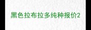 黑色拉布拉多纯种报价