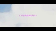 广州卖宠物狗的地方