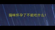 猫咪怀孕了不能吃什么