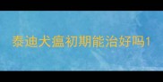 泰迪犬瘟初期能治好吗