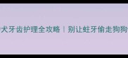 3个月幼犬牙齿护理全攻略别让蛀牙偷走狗狗健康