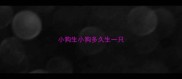 小狗生小狗多久生一只