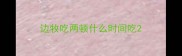 边牧吃两顿什么时间吃