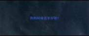 狗狗叫啥名字好听