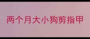 两个月大小狗剪指甲