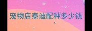 宠物店泰迪配种多少钱
