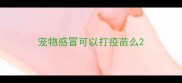 宠物感冒可以打疫苗么
