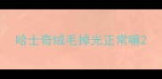 哈士奇绒毛掉光正常嘛