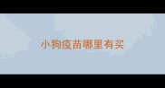小狗疫苗哪里有买