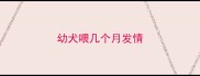 幼犬喂几个月发情