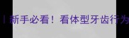 幼犬月龄鉴别全攻略新手必看看体型牙齿行为轻松判断狗狗几月大