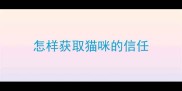 怎样获取猫咪的信任