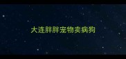 大连胖胖宠物卖病狗