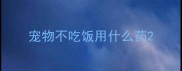 宠物不吃饭用什么药