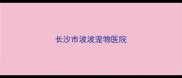 长沙市波波宠物医院