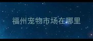 福州宠物市场在哪里