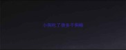小狗吃了很多干狗粮