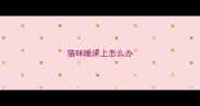 猫咪睡床上怎么办