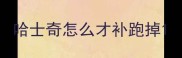 哈士奇怎么才补跑掉