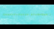 边牧幼犬30天大牙齿长没长新手必看护理指南