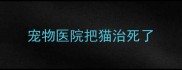 宠物医院把猫治死了