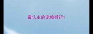 最认主的宠物排行