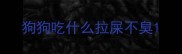 狗狗吃什么拉屎不臭