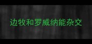 边牧和罗威纳能杂交