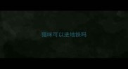 猫咪可以进地铁吗