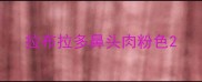 拉布拉多鼻头肉粉色