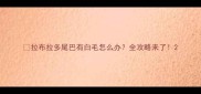 拉布拉多尾巴有白毛怎么办全攻略来了