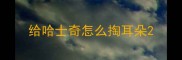 给哈士奇怎么掏耳朵