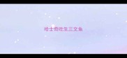 哈士奇吃生三文鱼